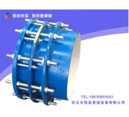 VSSJAF單法蘭鬆套傳（chuán）力接頭
